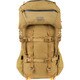 Metcalf 50 - Buckskin (Head On) (Show Larger View)
